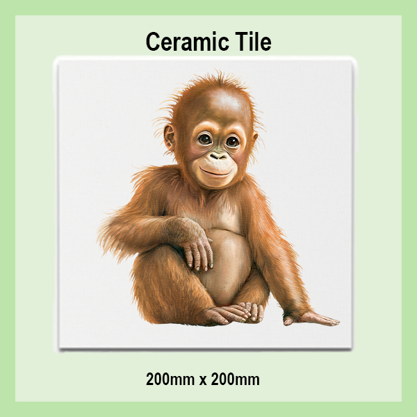 Ceramic Tiles 200x200mm | JUNGLE COLLECTION