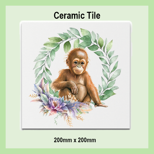 Ceramic Tiles 200x200mm | JUNGLE COLLECTION