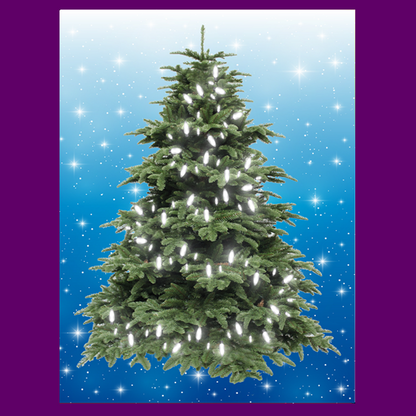 BYO - Magnetic Christmas Tree