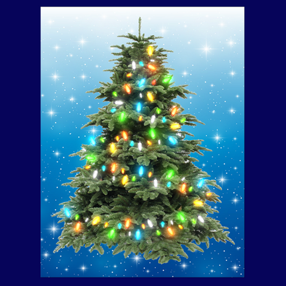 BYO - Magnetic Christmas Tree