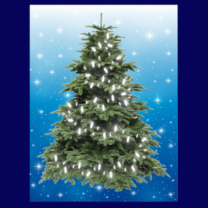 BYO - Magnetic Christmas Tree