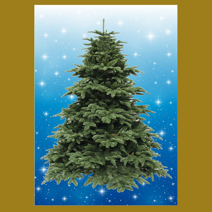 BYO - Magnetic Christmas Tree