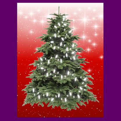BYO - Magnetic Christmas Tree
