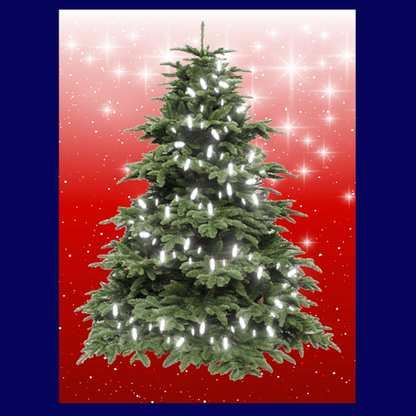 BYO - Magnetic Christmas Tree