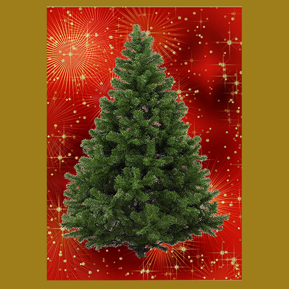 BYO - Magnetic Christmas Tree