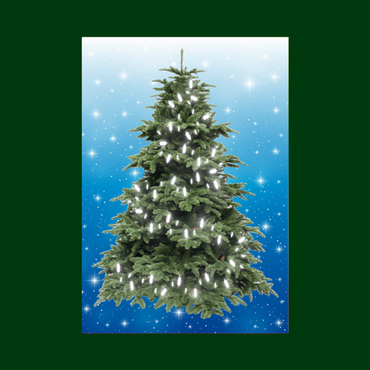 MEDIUM - BLUE (40cm x 60cm) - Lights 20 WHITE