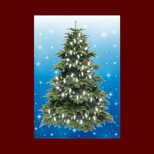 MEDIUM - BLUE (40cm x 60cm) - Lights 50 WHITE