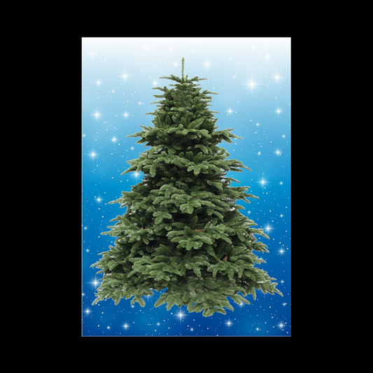 MEDIUM - BLUE (40cmx60cm) No Lights