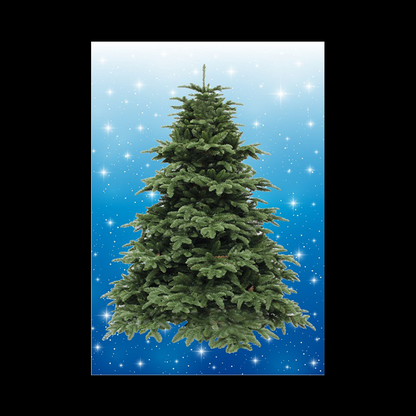 BYO - Magnetic Christmas Tree