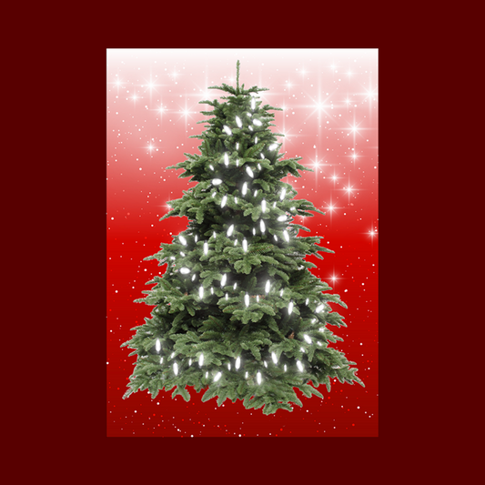 MEDIUM - RED (40cm x 60cm) - Lights 50 WHITE