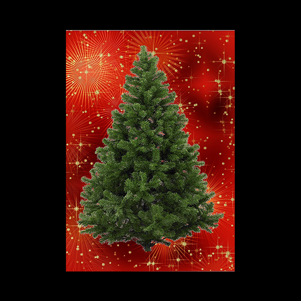 BYO - Magnetic Christmas Tree