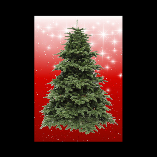 BYO - Magnetic Christmas Tree