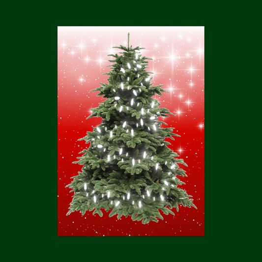 MEDIUM - RED (40cm x 60cm) - Lights 20 WHITE