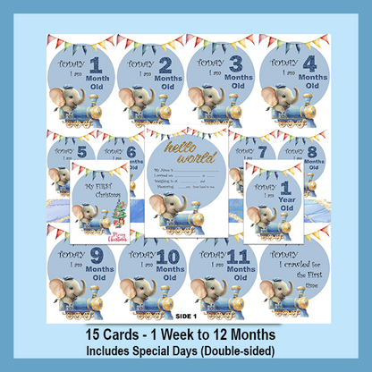 ELEPHANT MILESTONE CARD SET | EXPLORER COLLECTION