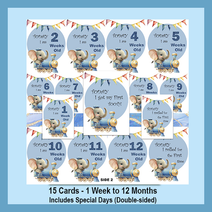 ELEPHANT MILESTONE CARD SET | EXPLORER COLLECTION
