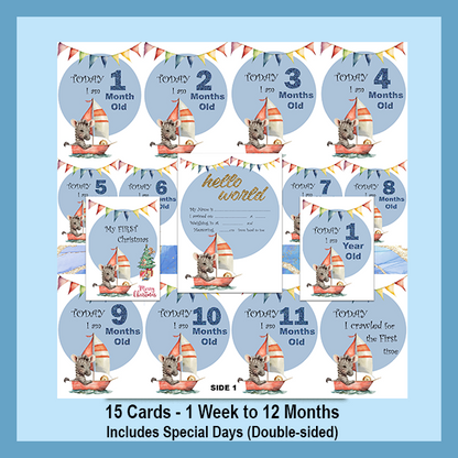 ZEBRA MILESTONE CARD SET | EXPLORER COLLECTION