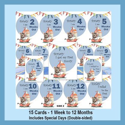 ZEBRA MILESTONE CARD SET | EXPLORER COLLECTION
