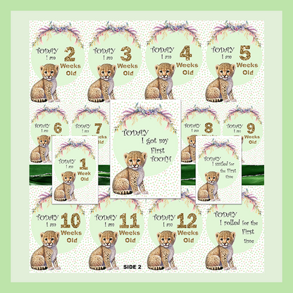 MILESTONE CARD SET - CHEETAH | JUNGLE COLLECTION