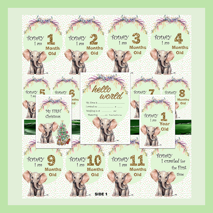 MILESTONE CARD SET - ELEPHANT | JUNGLE COLLECTION