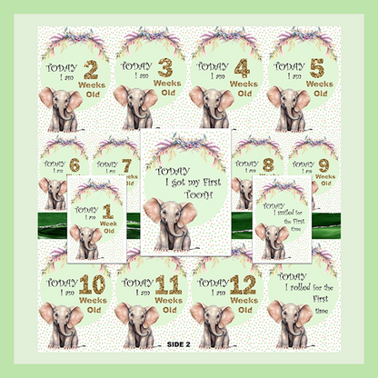 MILESTONE CARD SET - ELEPHANT | JUNGLE COLLECTION