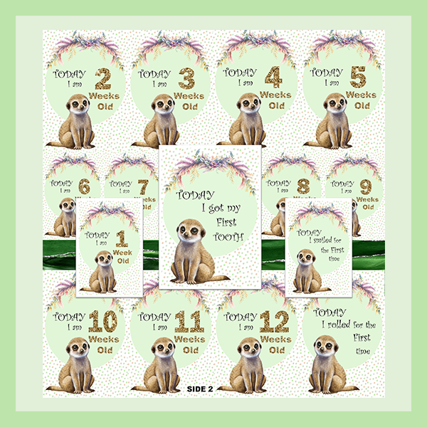 MILESTONE CARD SET - MEERKAT | JUNGLE COLLECTION