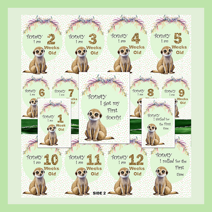 MILESTONE CARD SET - MEERKAT | JUNGLE COLLECTION