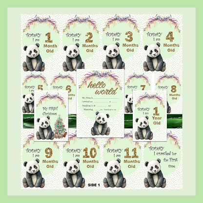 MILESTONE CARD SET - PANDA | JUNGLE COLLECTION