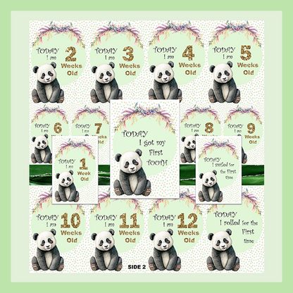 MILESTONE CARD SET - PANDA | JUNGLE COLLECTION
