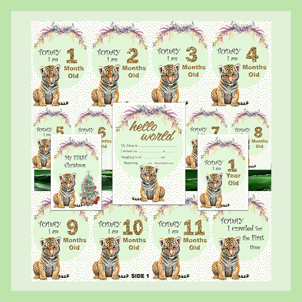 MILESTONE CARD SET - TIGER | JUNGLE COLLECTION