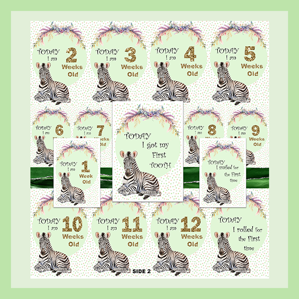 MILESTONE CARD SET - ZEBRA | JUNGLE COLLECTION