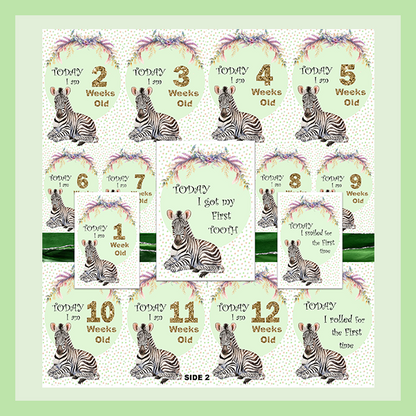 MILESTONE CARD SET - ZEBRA | JUNGLE COLLECTION