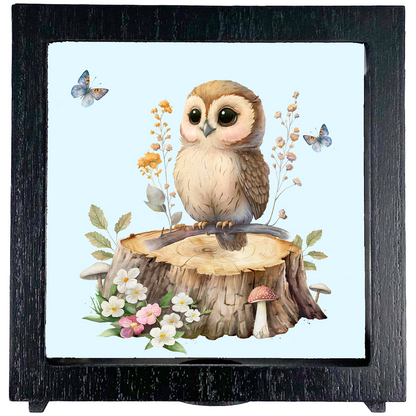 SHADOW MONEY BOX | FOREST FRIENDS OWL