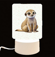 A&O+ - WILD ANIMALS - LED Light Ups - 9 Designs