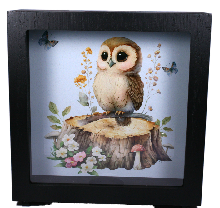 SHADOW MONEY BOX | FOREST FRIENDS OWL