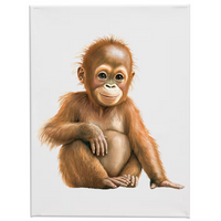 A&O - WILD ANIMALS - Wall Art Canvas - Assorted Designs & Sizes