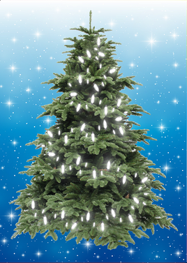 MEDIUM - BLUE - Magnetic Christmas Tree Panel Only - 50 WHITE