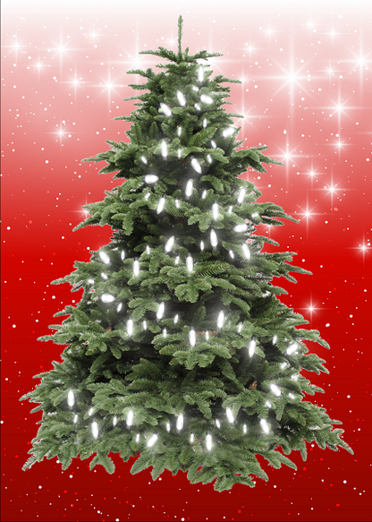 MEDIUM - RED (40cm x 60cm) - Lights 20 WHITE