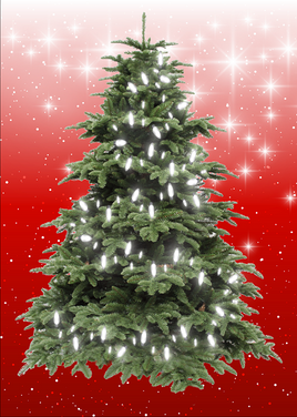 MEDIUM - RED - Magnetic Christmas Tree Panel Only - 20 WHITE